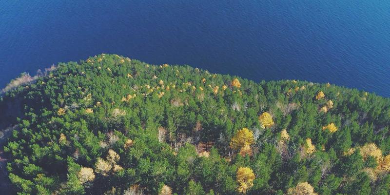 数码维迪克斯实测：智能手表健康监测数据准确吗？技术支持的实用价值分析